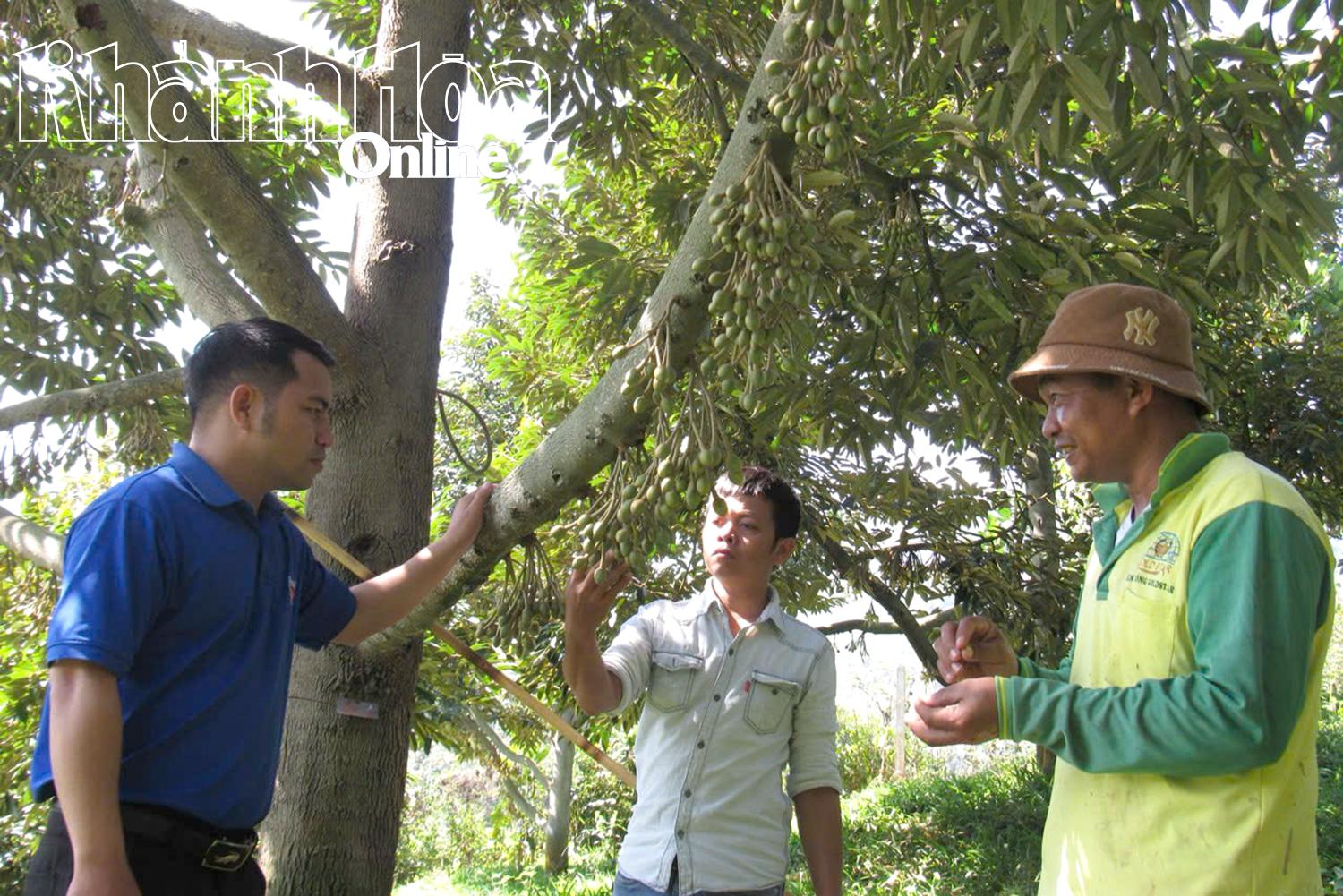 លោក បូ បូនៀន (គម្របខាងស្តាំ) គឺជាគំរូធម្មតារបស់កសិករ និងអ្នកជំនួញដ៏ល្អម្នាក់នៅឃុំដុងខាញ់សឺន។