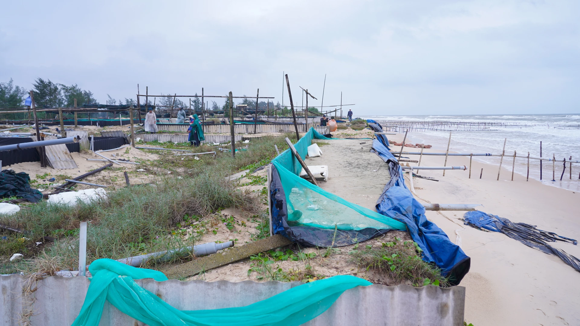 Het slakkenkwekerijgebied van de dorpelingen van My Thuy, gelegen naast het in aanbouw zijnde My Thuy Port-project, is bijna volledig ingestort, waardoor mensen ontredderd zijn - Foto: L.T.