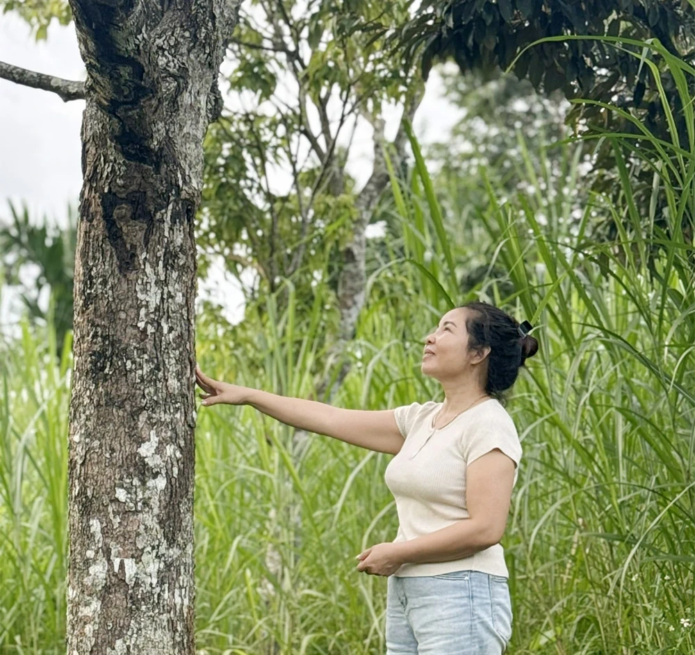 ជនជាតិ Muong នៃ Phu Tho នៅតំបន់ខ្ពង់រាបកណ្តាល
