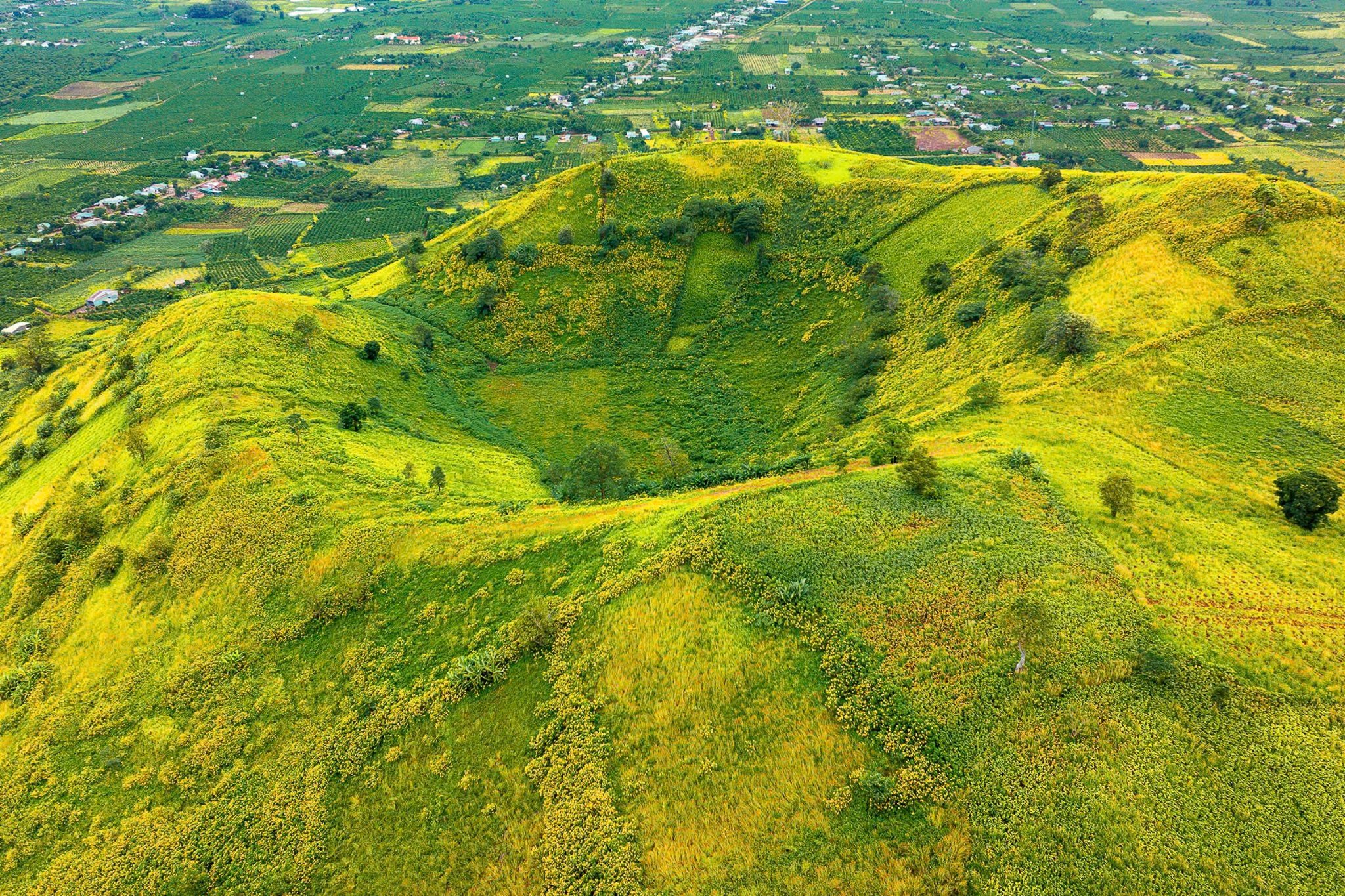 عکس دا کوی چو دانگ یا ۱