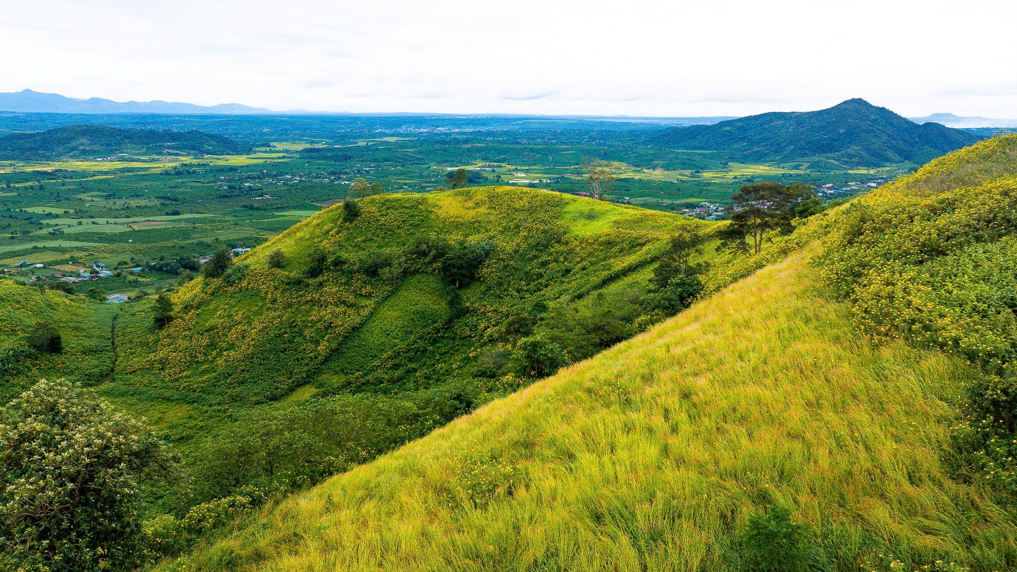 عکس دوم از سریال پوست شیطان، چو دانگ یا