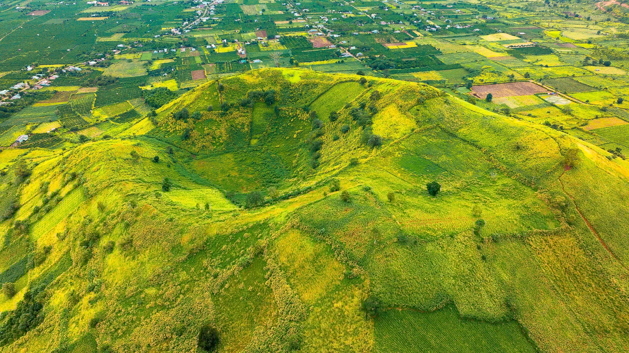 عکس ۳ از مجموعه پوست شیطان، چو دانگ یا