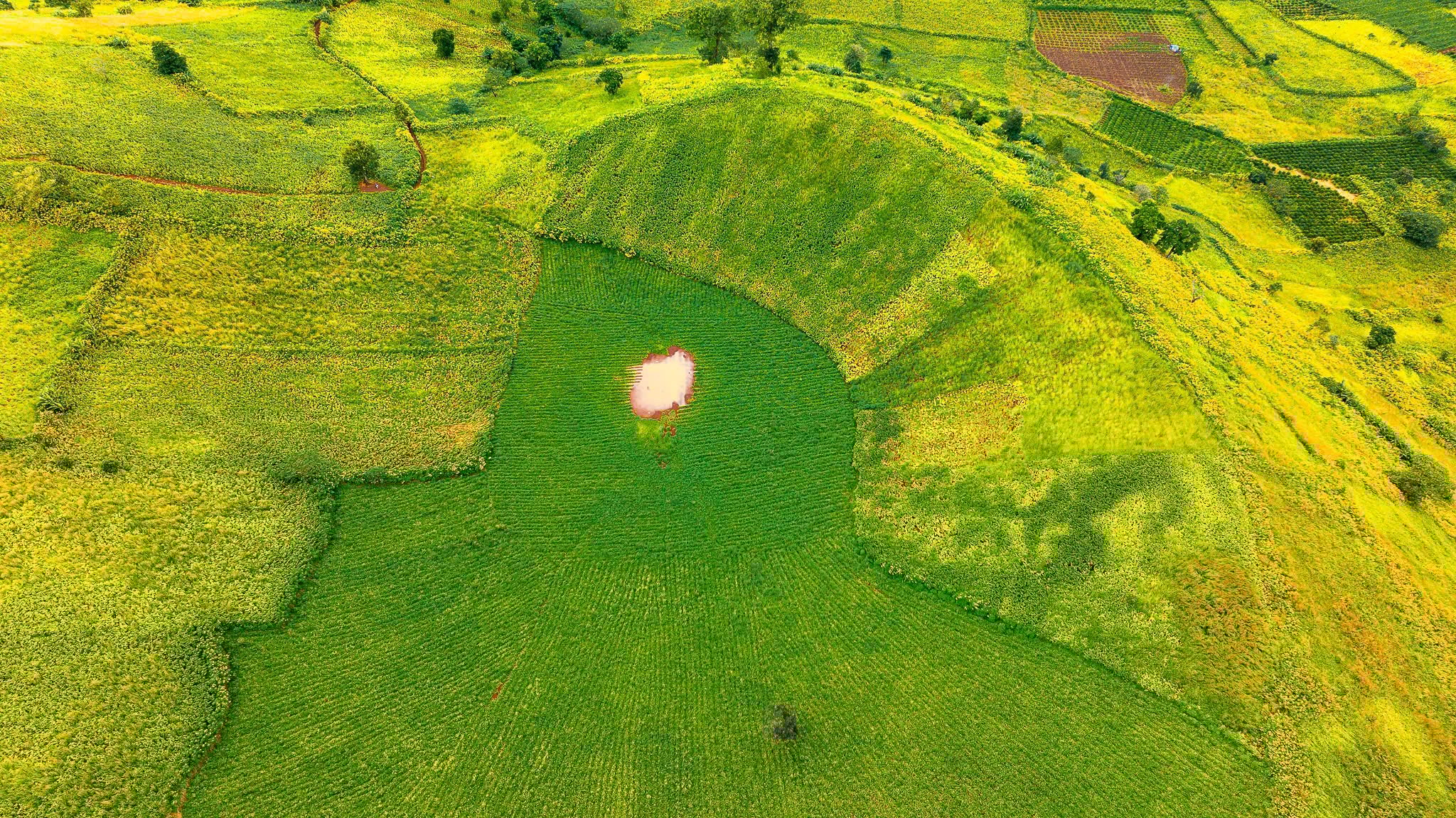 عکس دا کوی چو دانگ یا ۴