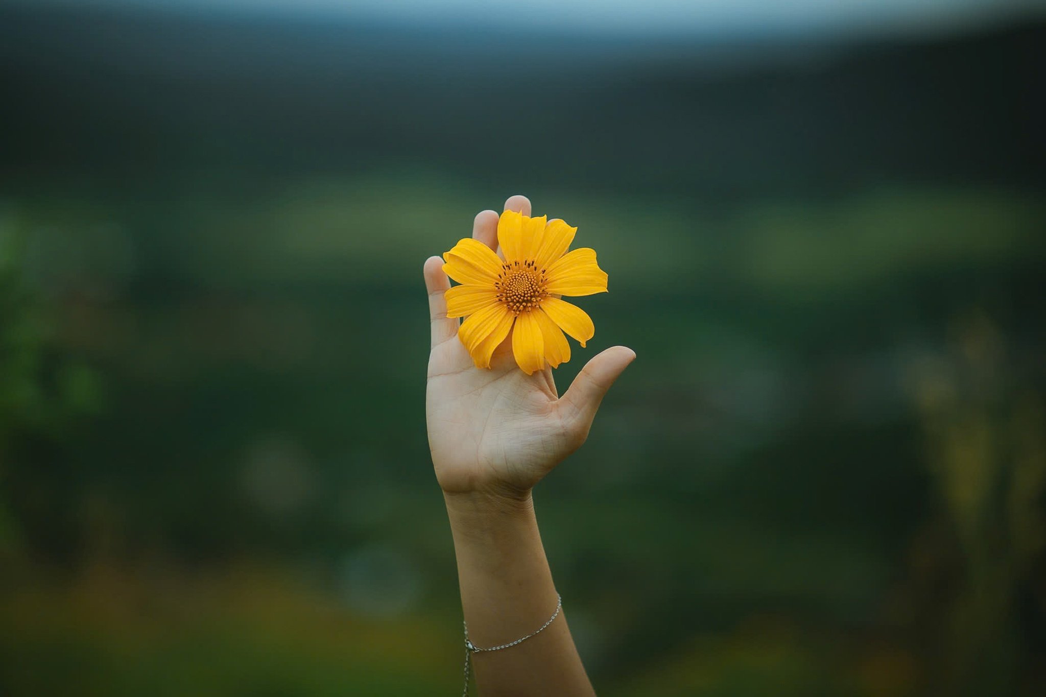 عکس ۶ از سریال پوست شیطان، چو دانگ یا