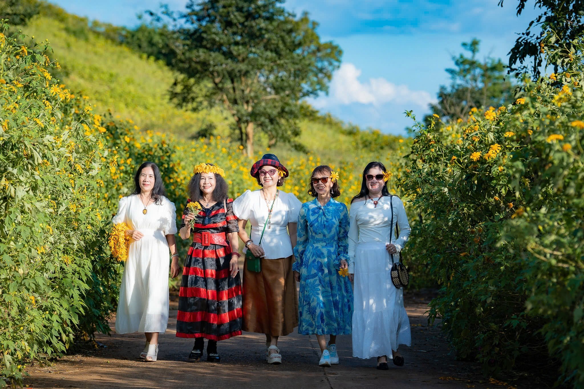 عکس دا کوی چو دانگ یا ۹