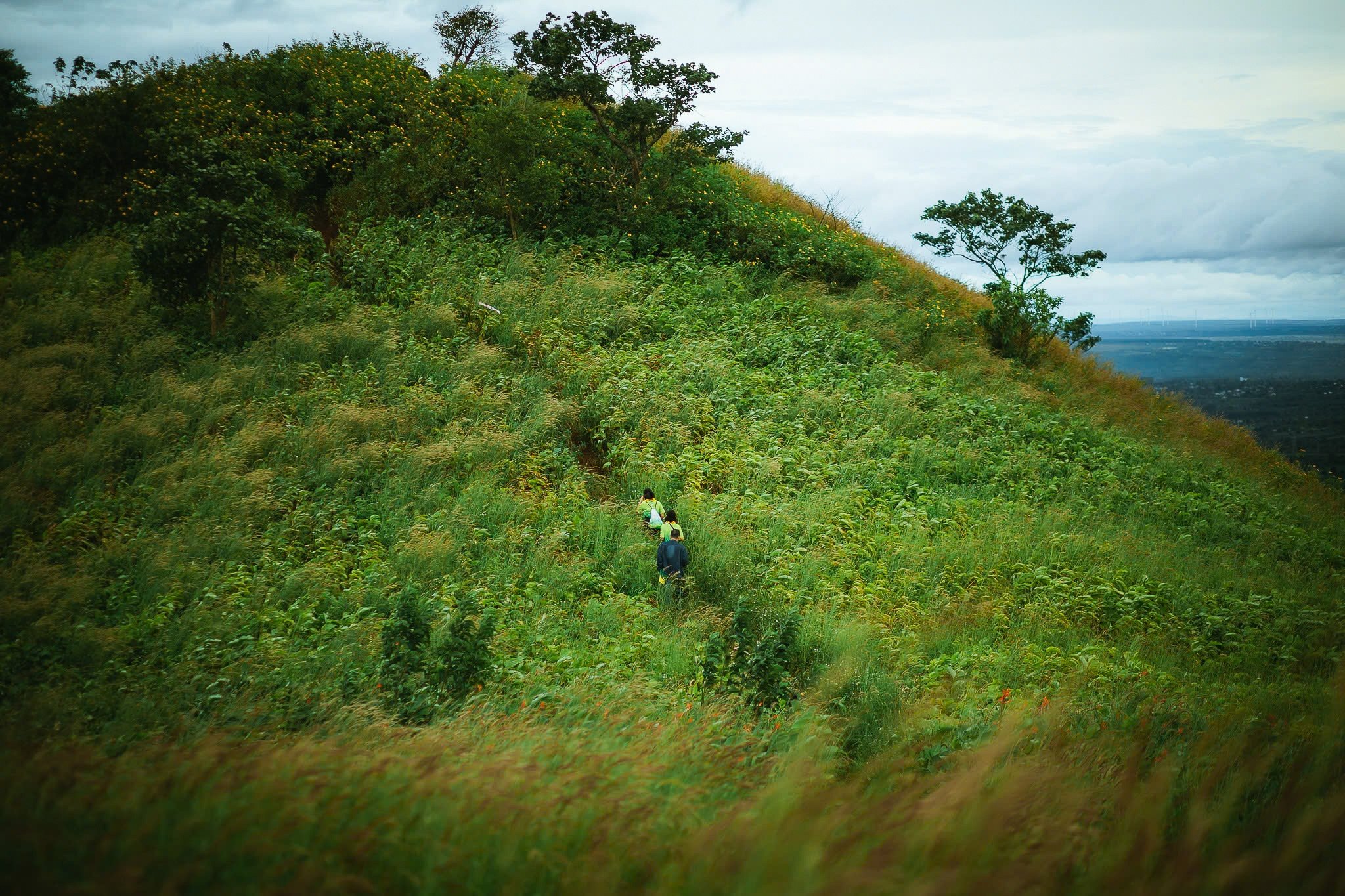 عکس ۱۵ از سریال پوست شیطان، چو دانگ یا