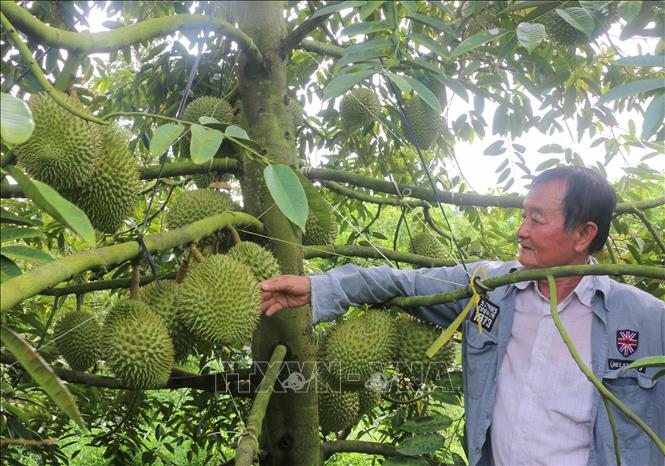 ចំណងជើងរូបថត