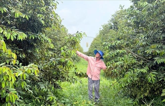 ចំណងជើងរូបថត