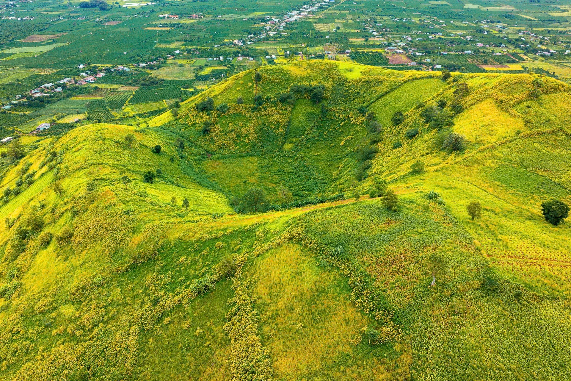 Mảng xanh trên miệng núi lửa triệu năm tuổi ở Gia Lai