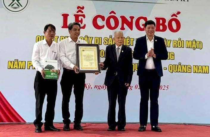 Profesor Dr. Dang Huy Huynh předává v provincii Quang Nam certifikát o uznání vietnamského historického stromu. Foto: VACNE.
