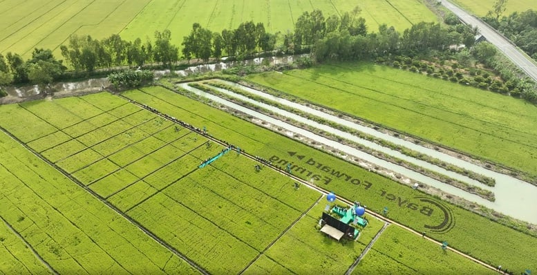 Η Βιομηχανία Φυτικών Προϊόντων εισέρχεται σε μια φάση πράσινης ανάπτυξης - Φωτογραφία 1. Ngành Trồng trọt bước vào giai đoạn phát triển xanh- Ảnh 1.