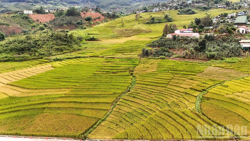 Gắn kết du lịch sinh thái núi rừng và biển đảo là định hướng chiến lược để tỉnh Quảng Ngãi định vị trên bản đồ du lịch trong nước.