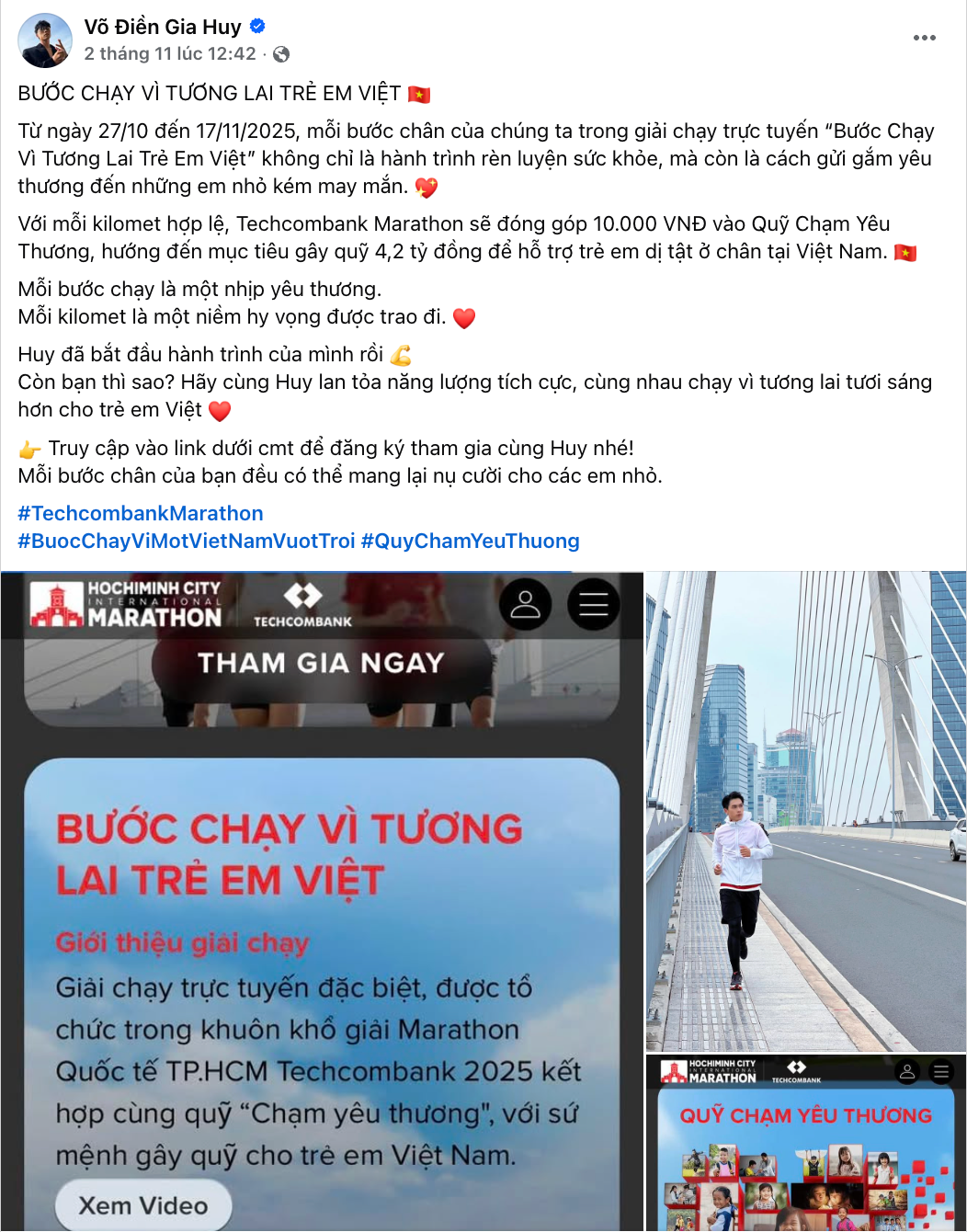 Vo-dien-gia-huy.png