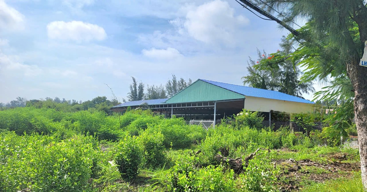 TP. Hồ Chí Minh: UBND cấp xã thực hiện mức hỗ trợ liên quan thu hồi đất đã ủy quyền cho cấp huyện trước đây