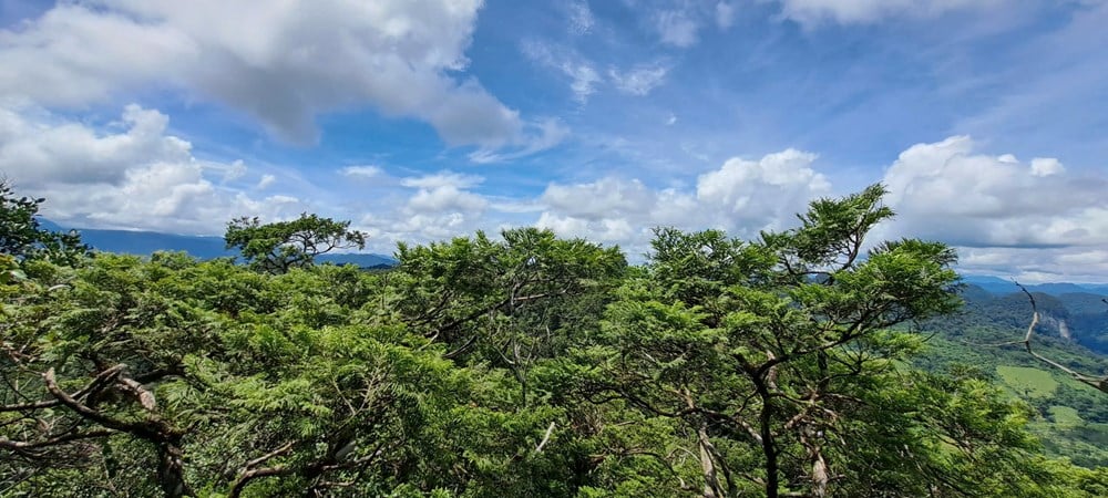 Quảng Trị: Nâng tầm nguồn nhân lực, mở rộng cơ hội phát triển du lịch tỉnh - Ảnh 1.