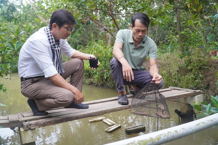 Μοναδικό μοντέλο καλλιέργειας μαργαριταριών γλυκού νερού σε συνδυασμό με τουρισμό στο νησάκι Thoi Son - Φωτογραφία 1.
