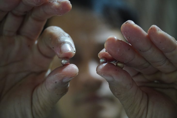 Μοναδικό μοντέλο καλλιέργειας μαργαριταριών γλυκού νερού σε συνδυασμό με τουρισμό στο νησάκι Thoi Son - Φωτογραφία 3.