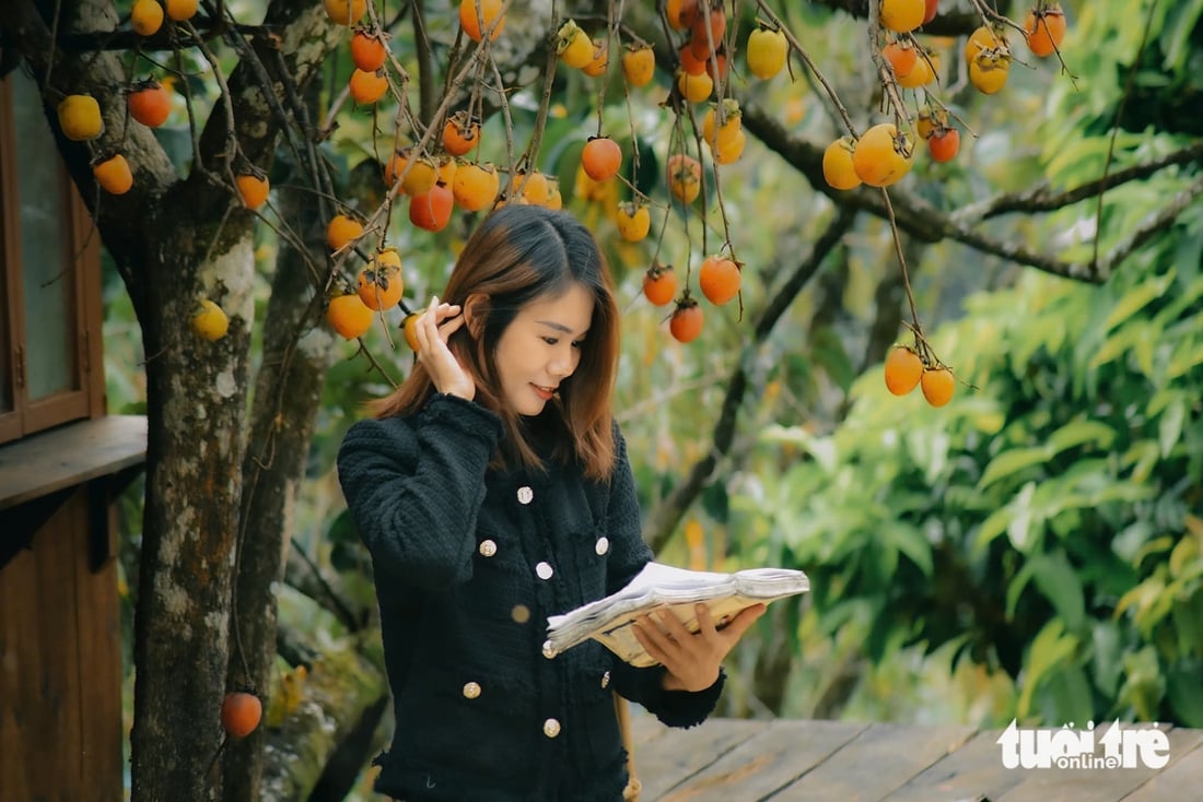 Vườn hồng Đà Lạt, nơi ai bước vào cũng hóa đoan trang- Ảnh 1.