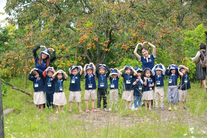 រដូវផ្លែត្របែកនៅភ្នំ Dai Hue - រូបថត ៣.