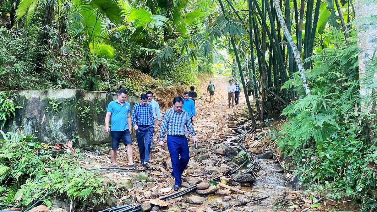 Đoàn khảo sát tại khu vực tổ dân phố 31 - Hạ Thành.