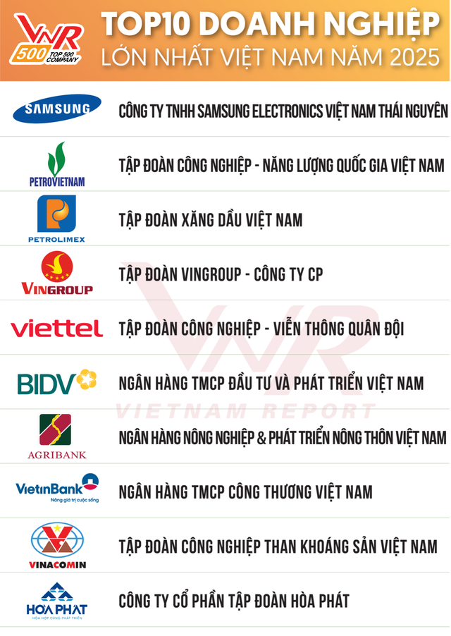 Hai doanh nghiệp của tỉ phú Nguyễn Thị Phương Thảo vào tốp doanh nghiệp tư nhân lớn nhất Việt Nam - Ảnh 3.