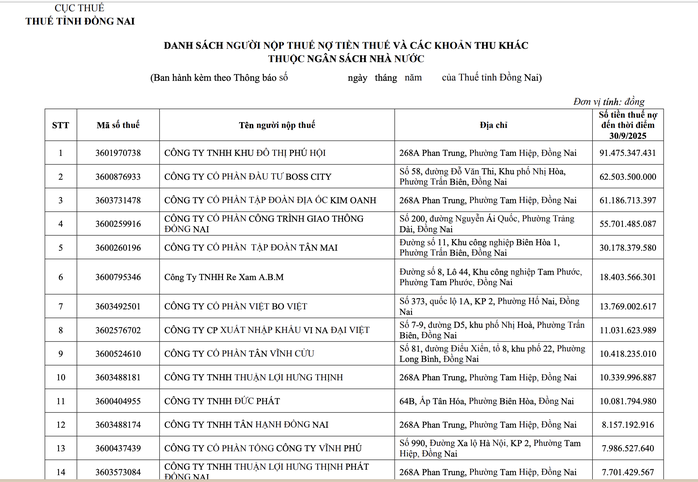 Doanh nghiệp nợ thuế Đồng Nai công khai danh sách với tổng nợ hơn 440 tỉ Đồng - Ảnh 1.
