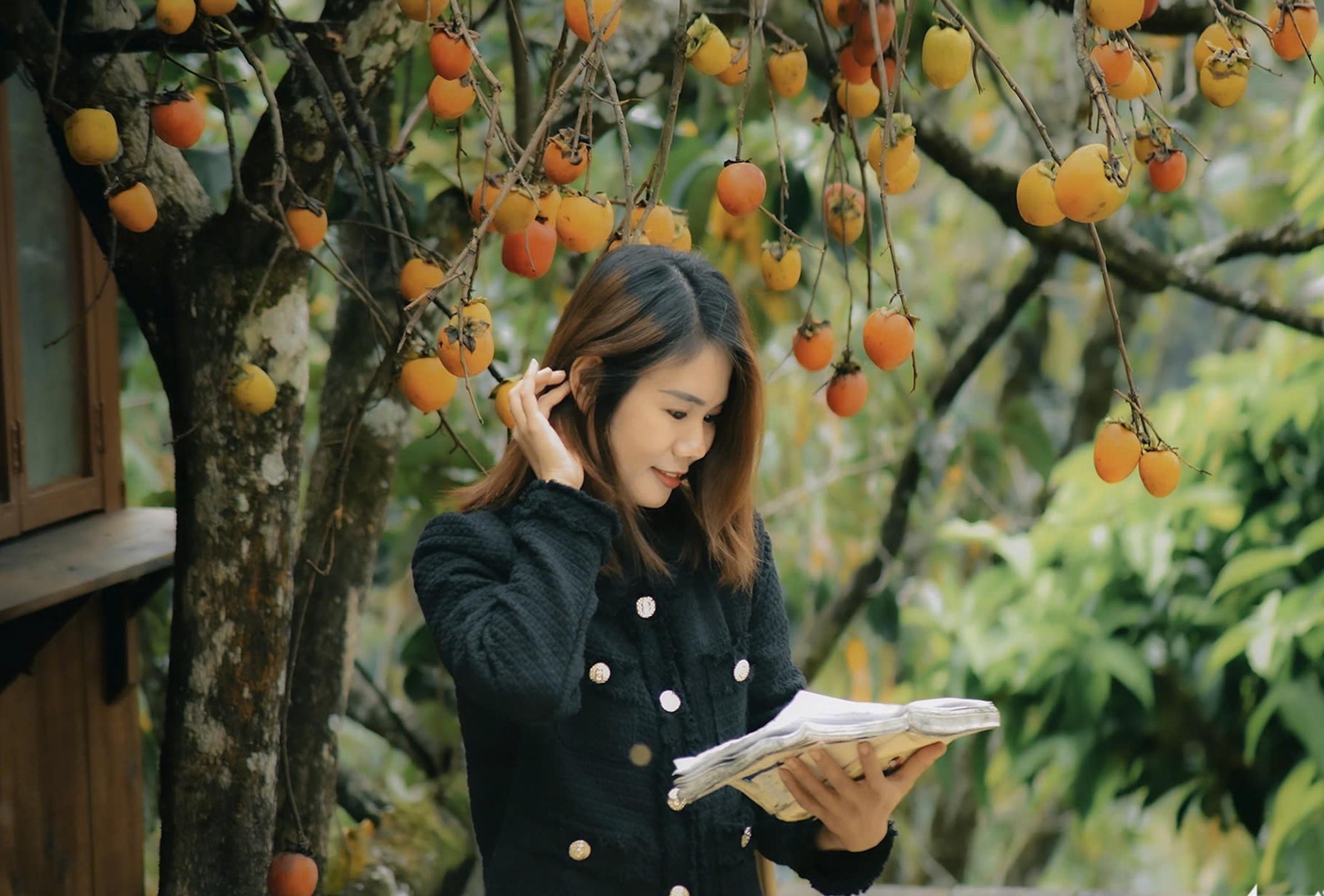 Vườn hồng Đà Lạt, nơi ai bước vào cũng hóa đoan trang