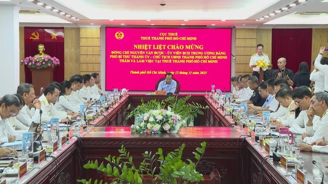 Thuế TP. Hồ Chí Minh: Hoàn thành nhiệm vụ thu ngân sách Chính phủ giao trước gần 2 tháng- Ảnh 1.