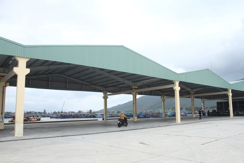 Hoàn thiện hạ tầng nghề cá hiện đại, thúc đẩy kiểm soát IUU tại cảng cá lớn nhất miền Trung- Ảnh 2.