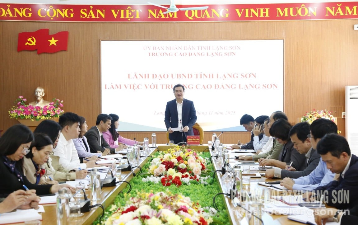 សមមិត្ត Nguyen Canh Toan អនុលេខាគណៈកម្មាធិការបក្សខេត្ត ប្រធានគណៈកម្មាធិការប្រជាជនខេត្ត ថ្លែងមតិក្នុងសម័យប្រជុំ។