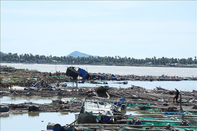 चित्र परिचय