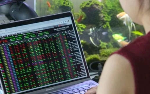 VN-Index giảm nhẹ trong phiên giao dịch 13/11, DGC bứt phá với mức tăng trần 6,95%