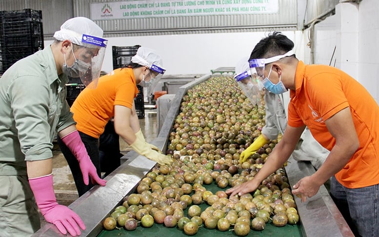 Bộ Công Thương khuyến cáo doanh nghiệp cập nhật quy định mới của Trung Quốc về xuất khẩu thực phẩm- Ảnh 1.