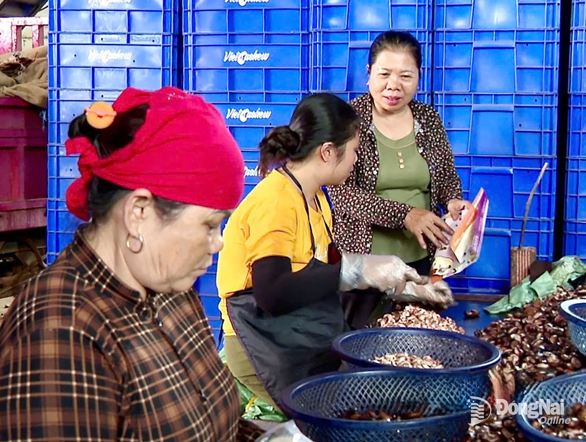 Cộng tác viên dân số xã Long Hà, tỉnh Đồng Nai tuyên truyền chính sách dân số cho người dân trên địa bàn. Ảnh: Thu Hiền