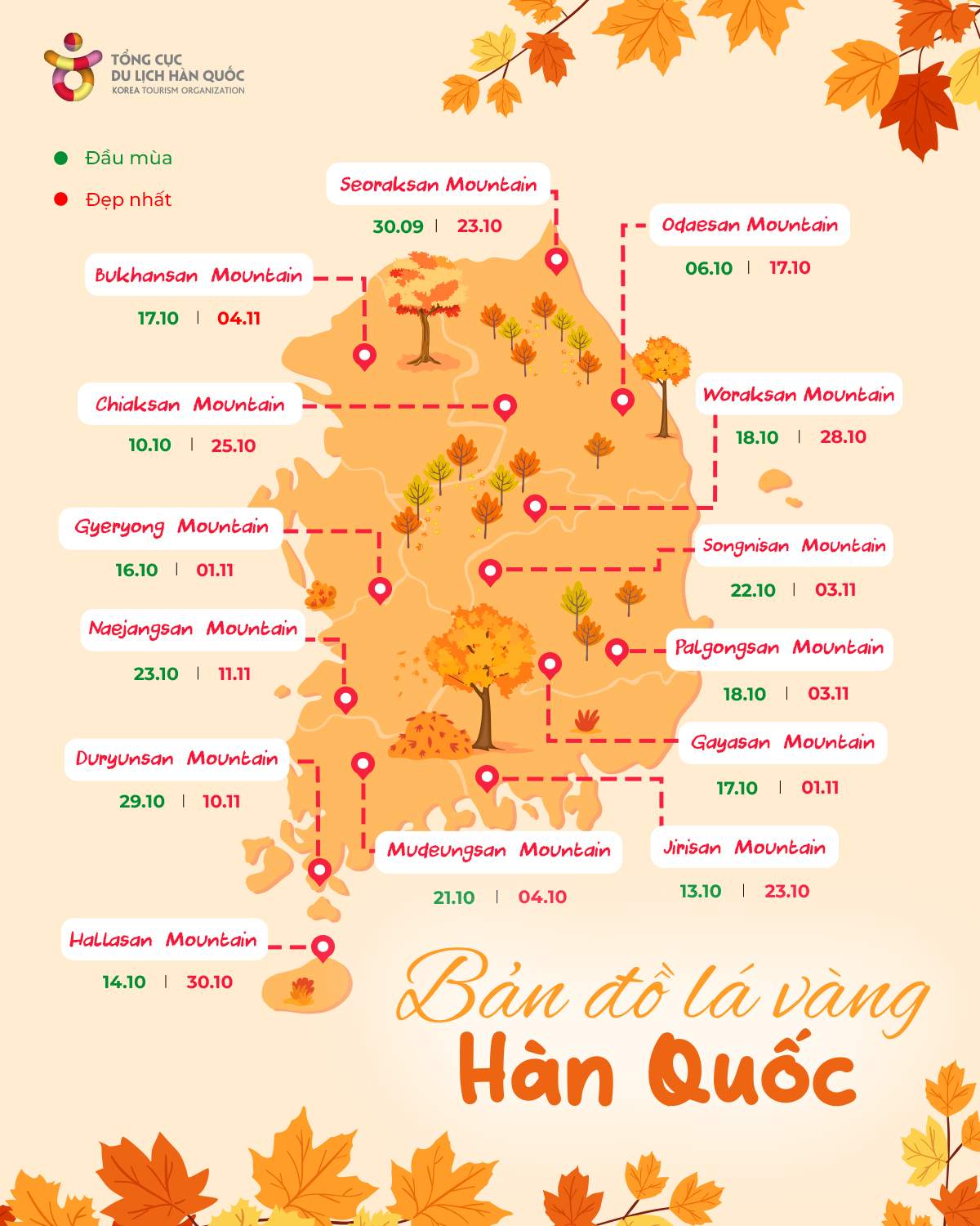 When is the most beautiful time to travel to Korea to soak in the golden rain of La Do in 2025? 2.jpg