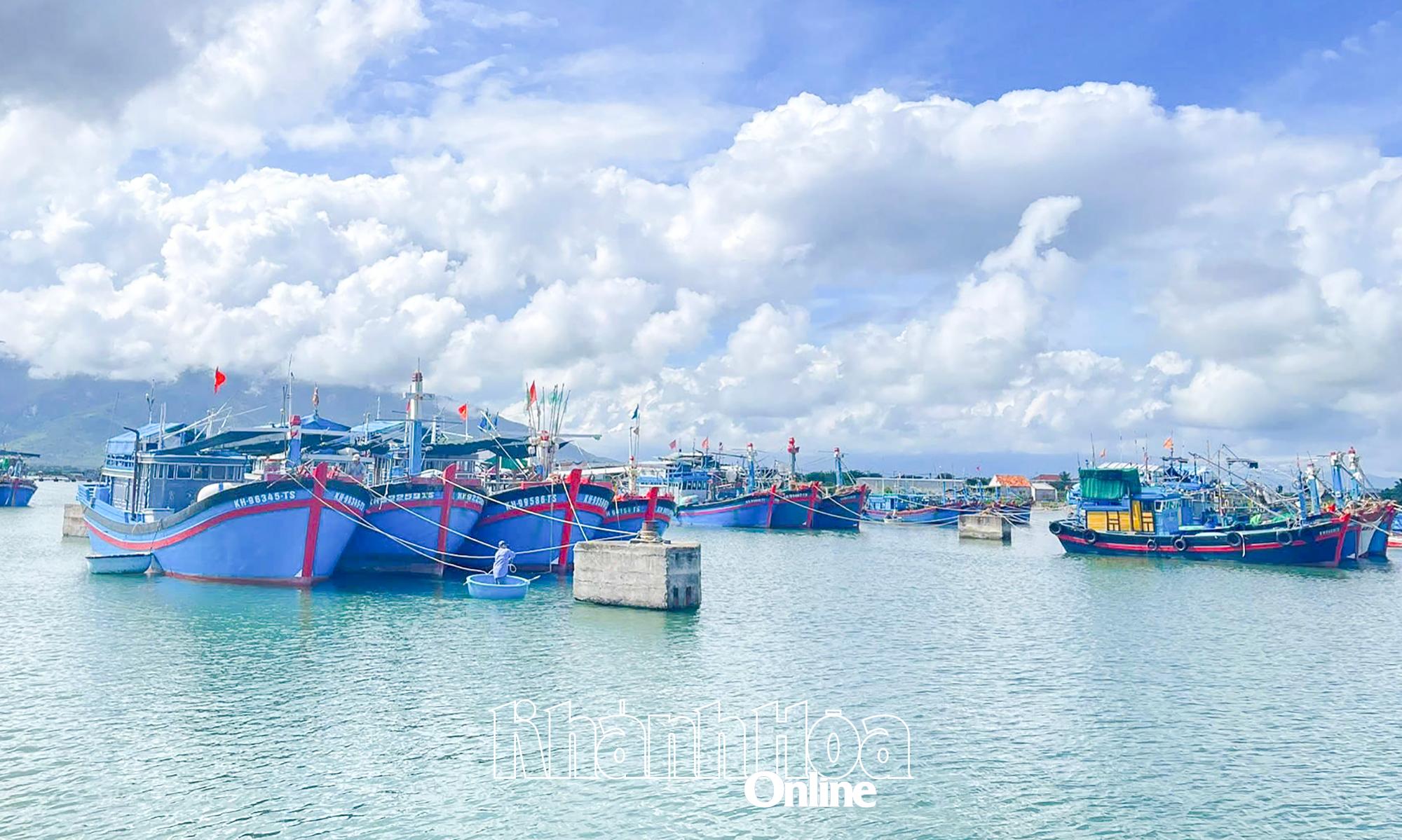 Tàu cá neo đậu tại Cảng cá kết hợp khu neo đậu tránh trú bão Ninh Hải