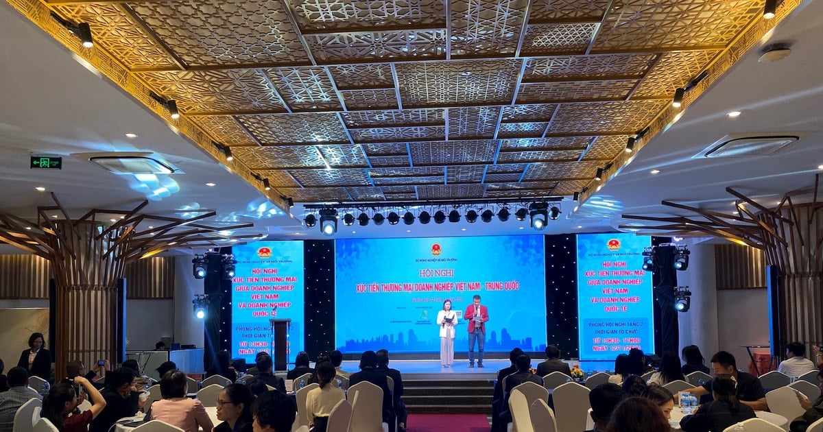 Hợp tác nông sản Việt – Trung: Nâng tầm chuỗi cung ứng khu vực