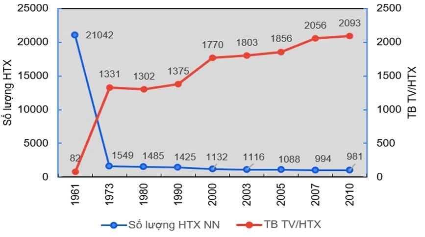 Xu hướng phát triển HTX nông nghiệp của Hàn Quốc cũng cho thấy, số lượng HTX giảm và số thành viên tăng cao. Ảnh: Kim Anh.