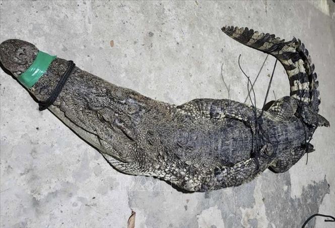 ចំណងជើងរូបថត