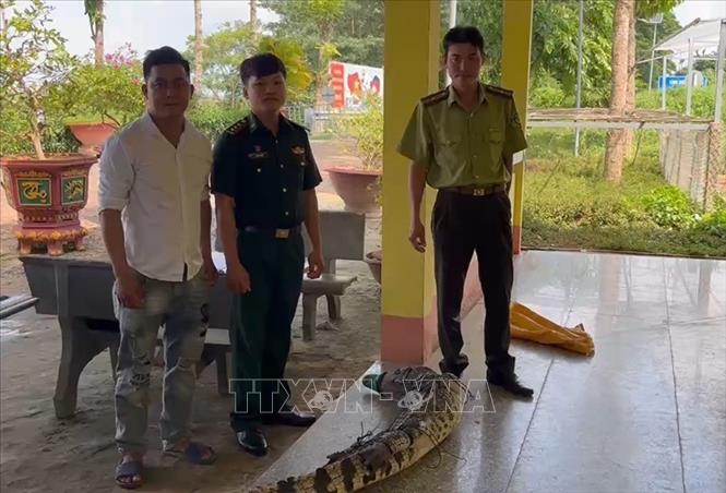 ចំណងជើងរូបថត