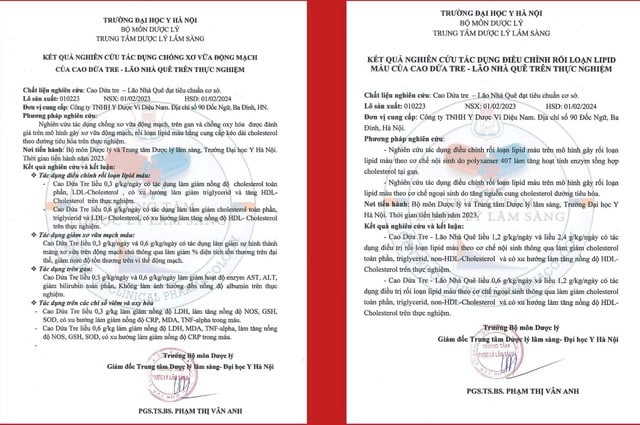 Dứa và Tre trong y học cổ truyền và tiềm năng ứng dụng trong y học hiện đại- Ảnh 2.