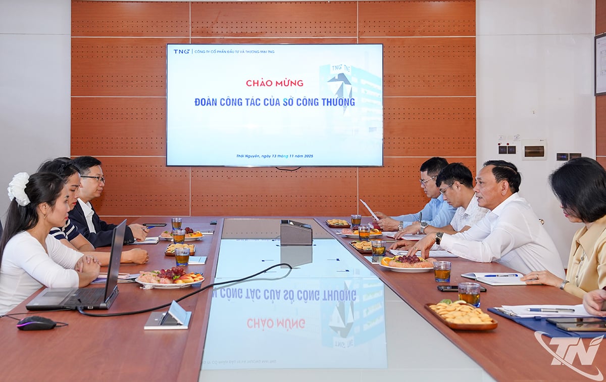 ຄະນະປະຕິບັດງານຂອງພະແນກອຸດສາຫະກຳ ແລະ ການຄ້າ ໄດ້ເຮັດວຽກກັບບໍລິສັດຫຸ້ນສ່ວນການລົງທຶນ ແລະ ການຄ້າ TNG.