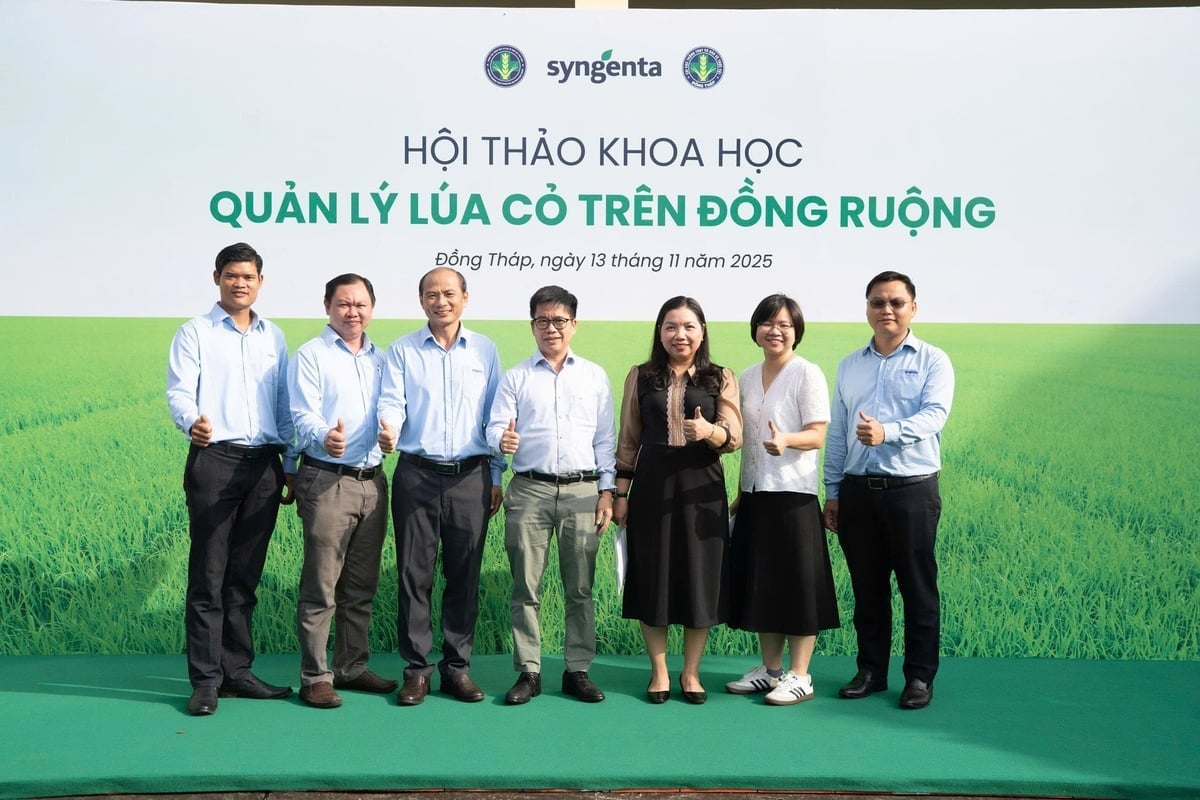 Hội thảo khoa học Quản lý lúa cỏ trên đồng ruộng đã diễn ra tại Đồng tháp với sự tham gia của 70 chuyên gia trong lĩnh vực lúa gạo. Ảnh: Ngọc Hân.