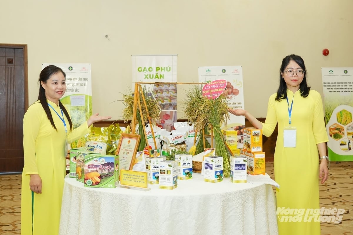 Nhiều sản phẩm OCOP trên địa bàn tỉnh Phú Thọ được giới thiệu tại hội thảo. Ảnh: Hùng Khang.