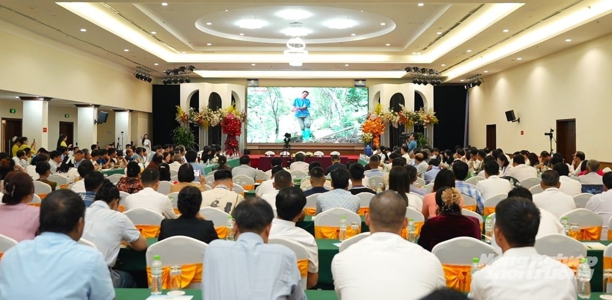 Các đại biểu chăm chú theo dõi bộ phim 'Bạn của đất - Cho mùa vàng bội thu' do Báo Nông nghiệp và Môi trường thực hiện. Ảnh: Hùng Khang.