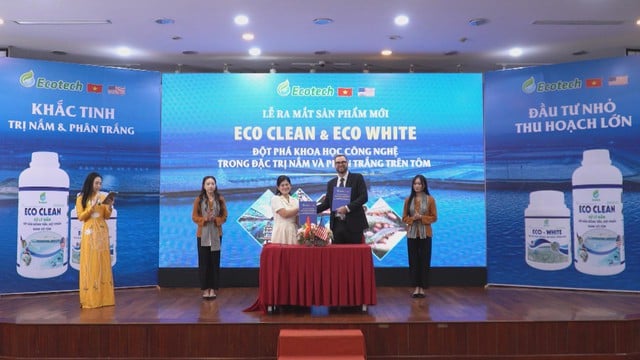 Xuất hiện đột phá mới trong ngành chăn nuôi tôm - Ảnh 1.