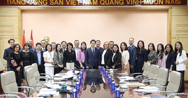 Thứ trưởng Thường trực Bộ Y tế Vũ Mạnh Hà tiếp, làm việc với EuroCham và Pharma Group