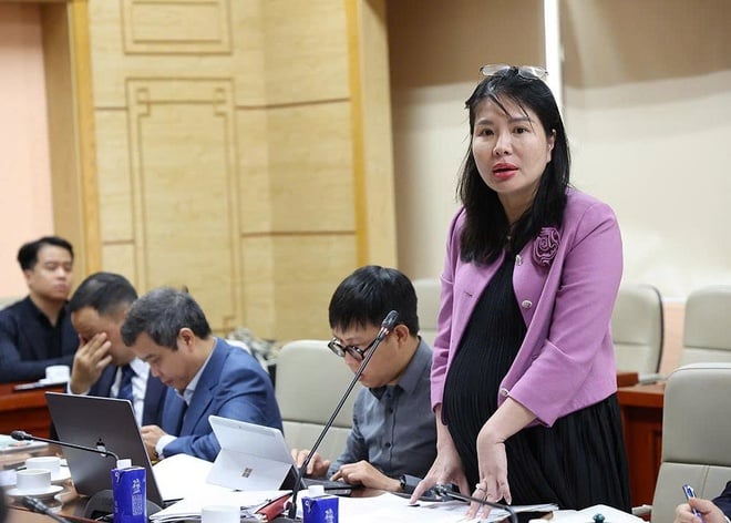 Thứ trưởng Thường trực Bộ Y tế Vũ Mạnh Hà tiếp, làm việc với EuroCham và Pharma Group- Ảnh 4.