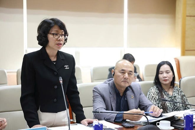 Thứ trưởng Thường trực Bộ Y tế Vũ Mạnh Hà tiếp, làm việc với EuroCham và Pharma Group- Ảnh 6.