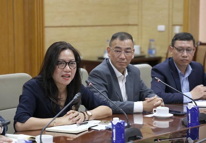 Thứ trưởng Thường trực Bộ Y tế Vũ Mạnh Hà tiếp, làm việc với EuroCham và Pharma Group- Ảnh 10.